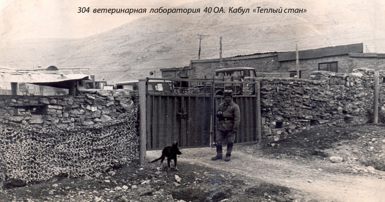 Виталий Ветров. 304 ВЛ
