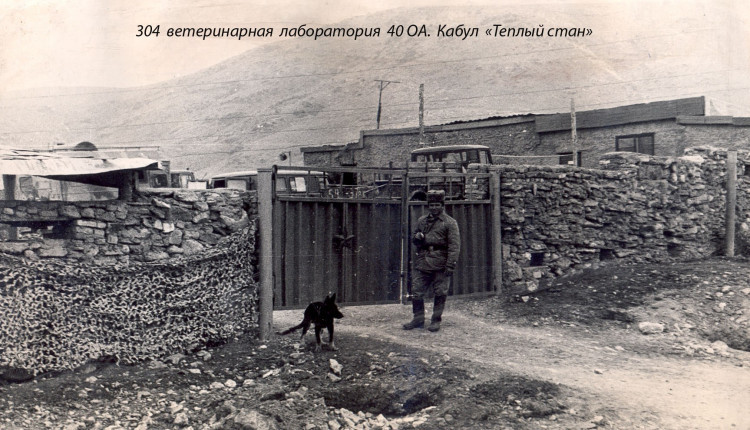 304 ветеринарная лаборатория в Афганистане