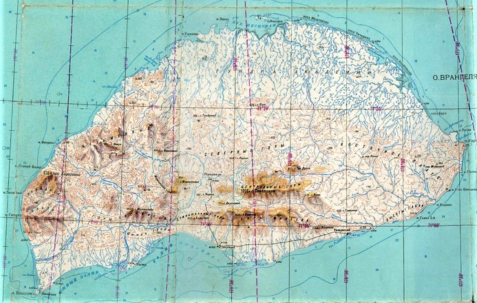 Остров Врангеля 