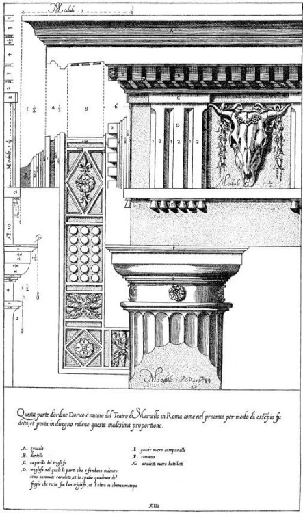 7afb77a180b854ef8770bc0754afc6f5.jpg