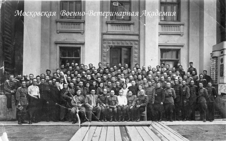 Военно ветеринарная академия РККА.