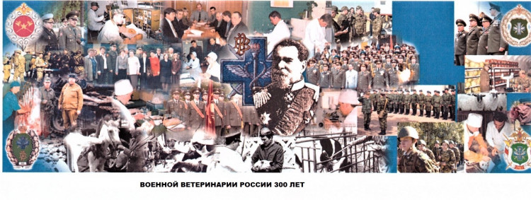 ВОЕННОЙ ВЕТЕРИНАРИИ РОССИИ 300 ЛЕТ.  Автор (ры) В.П. Ветров, Ю.Г Боев, Павел Поляков