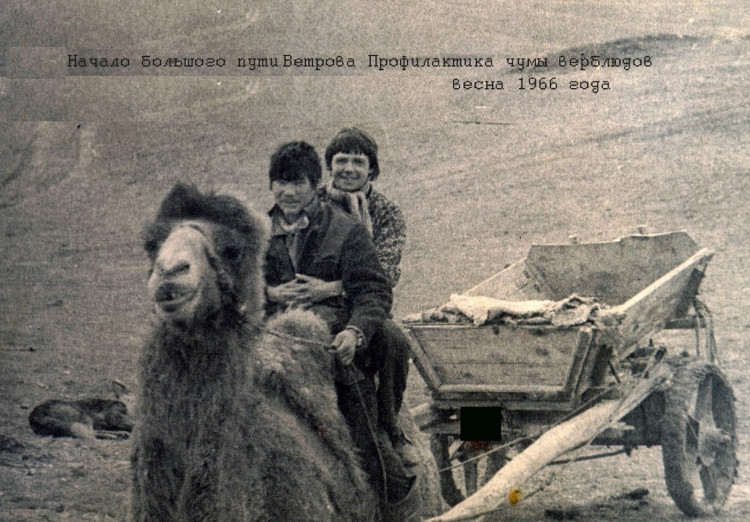 Противочумная станция. ветеринарные фельдшера в Кара-кумах. А.П. Ветров