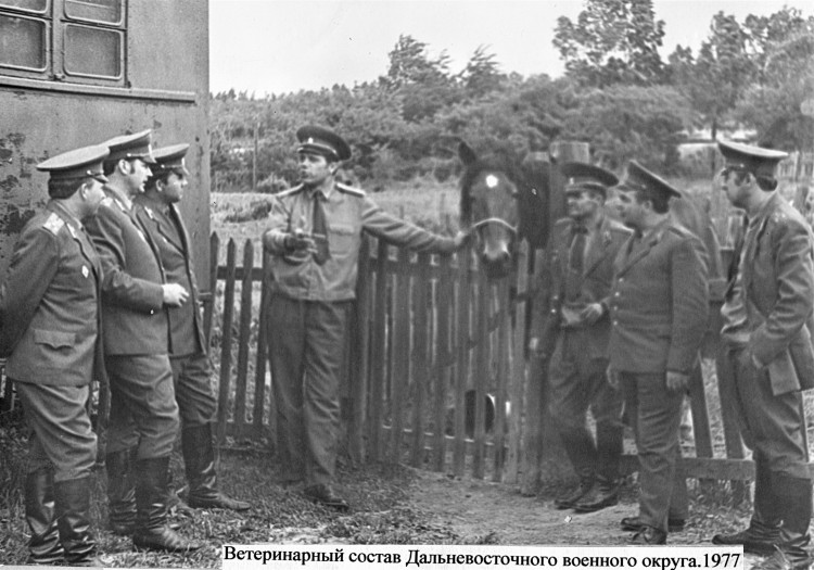 Руководящий состав ветслужбы ДВО. В.П. Ветров,А.А. Жоголев, В.П. Гусаков, В. Титов, И.И. Полугримов, Н.А. Богдан и др. г.Хабаровск 1979г.