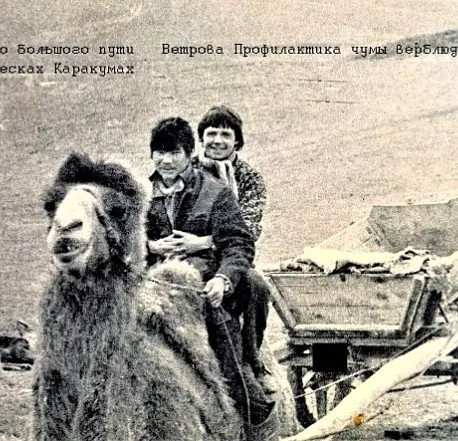 Противочумный отряд в Кзыл-кумах