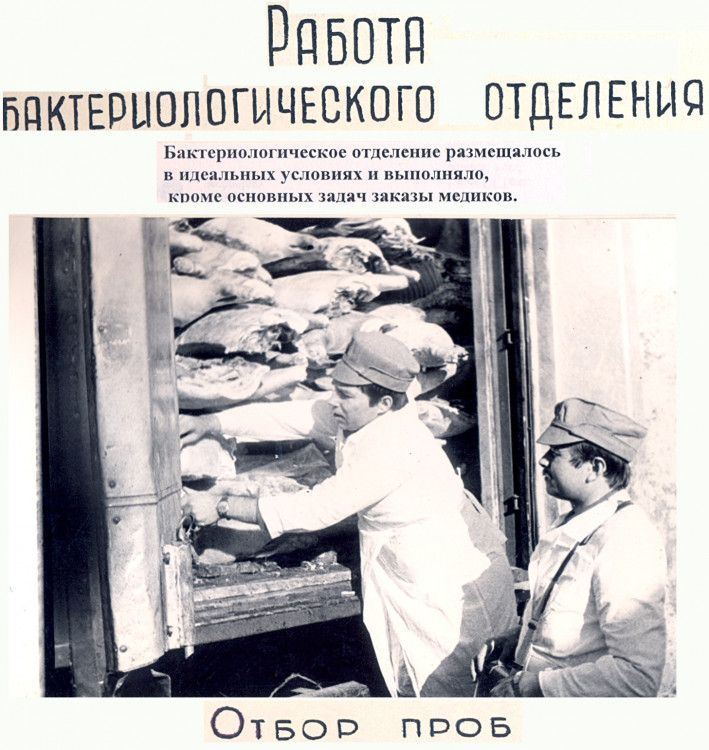 ветеринары в работе, сектор Первый БВО, п.Рудаков 1986 год