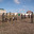_ Пограничники 15